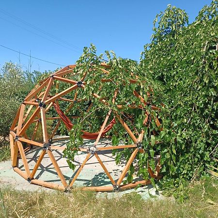 Хостел Vela Vega Бутера Екстер'єр фото